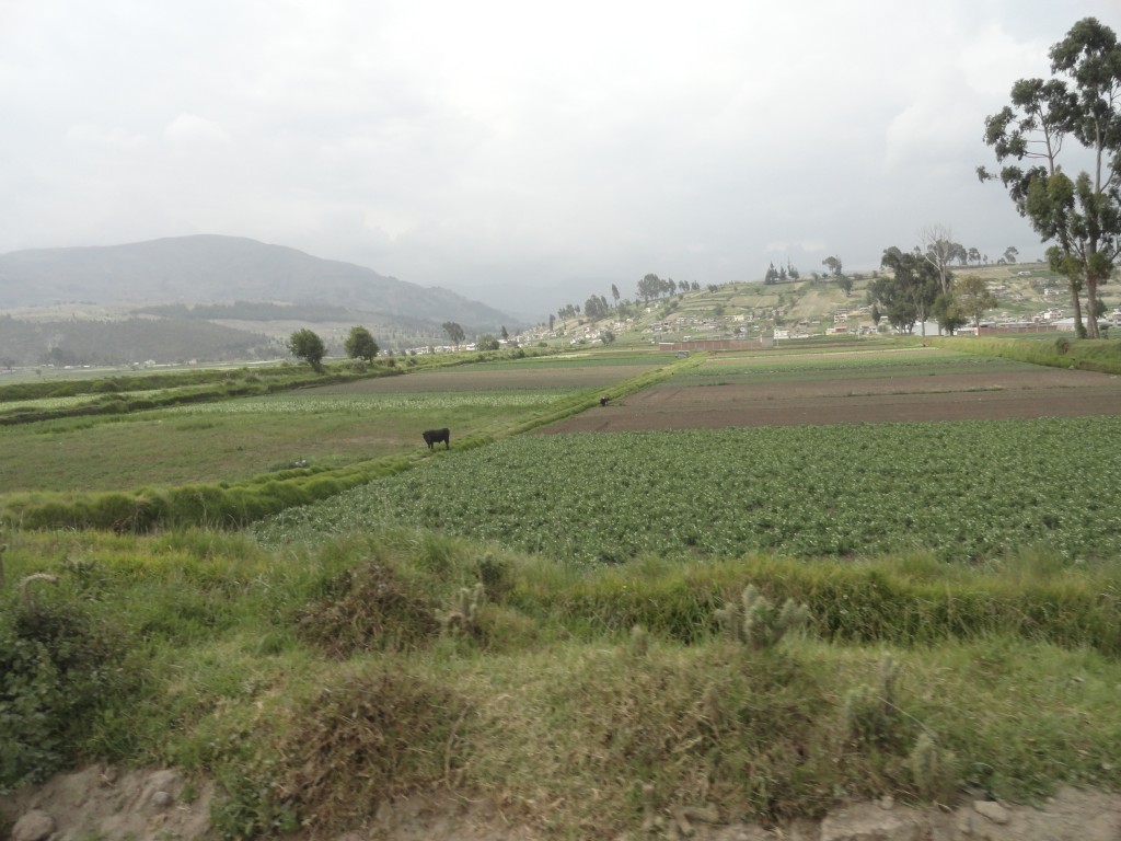 Foto: Paisaje - Colta (Chimborazo), Ecuador