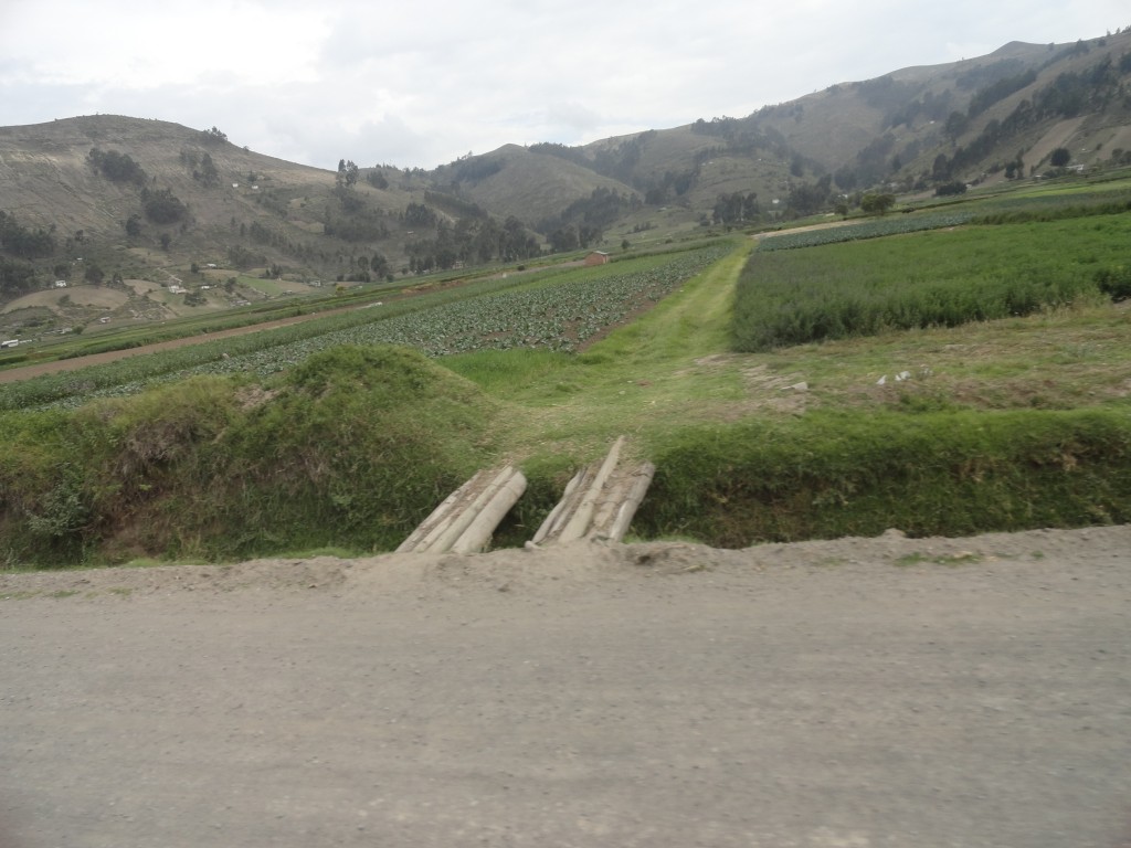 Foto: Paisaje - Colta (Chimborazo), Ecuador