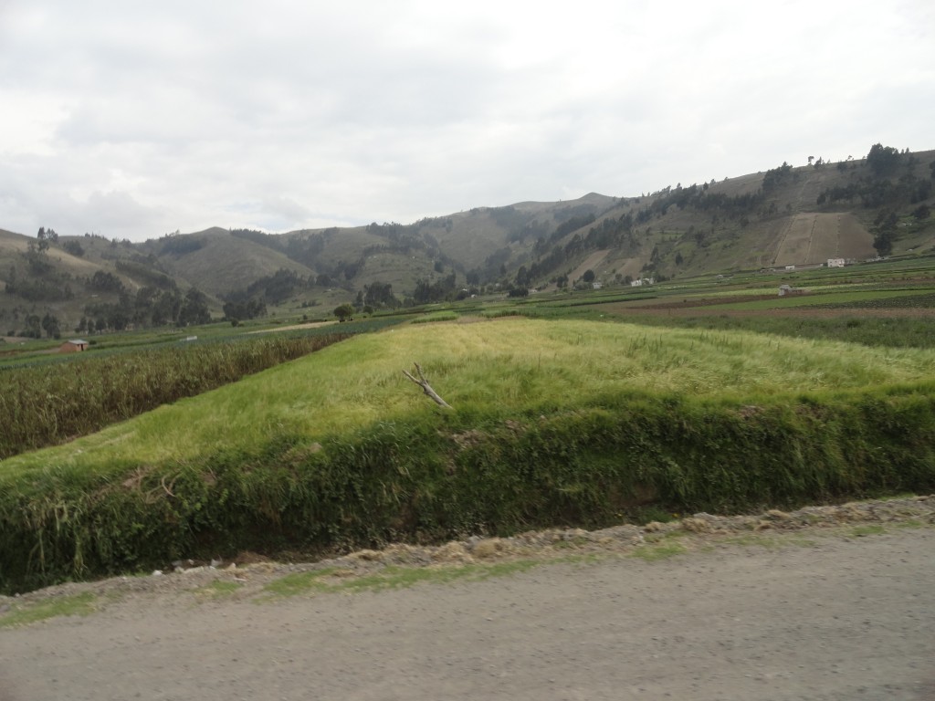 Foto: Paisaje - Colta (Chimborazo), Ecuador