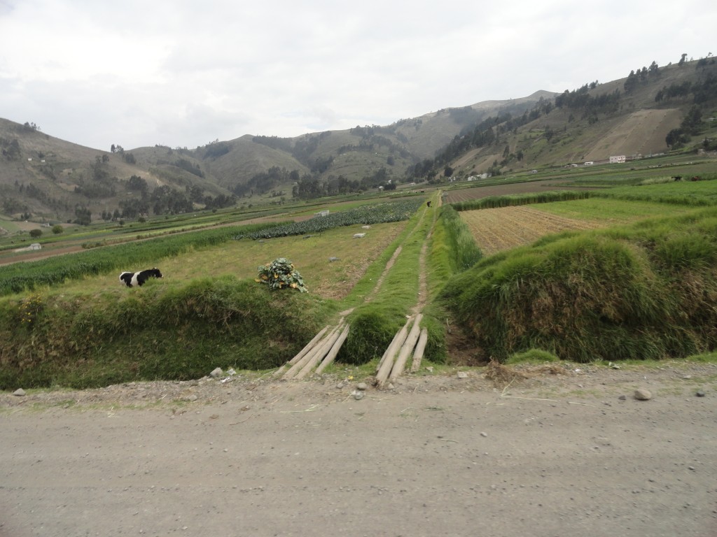 Foto: Paisaje - Colta (Chimborazo), Ecuador