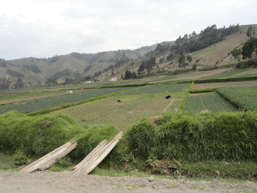 Foto: Paisaje - Colta (Chimborazo), Ecuador