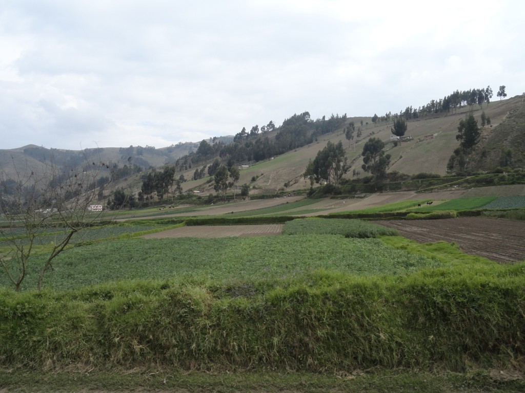 Foto: Paisaje - Colta (Chimborazo), Ecuador