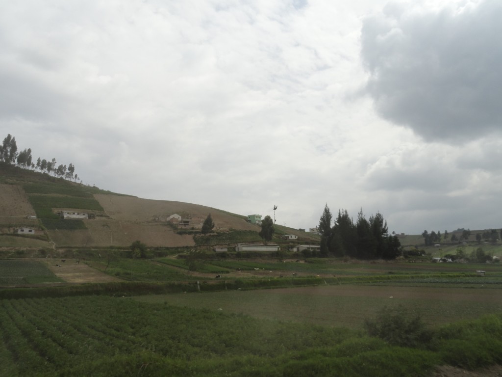 Foto: paisaje - Colta (Chimborazo), Ecuador