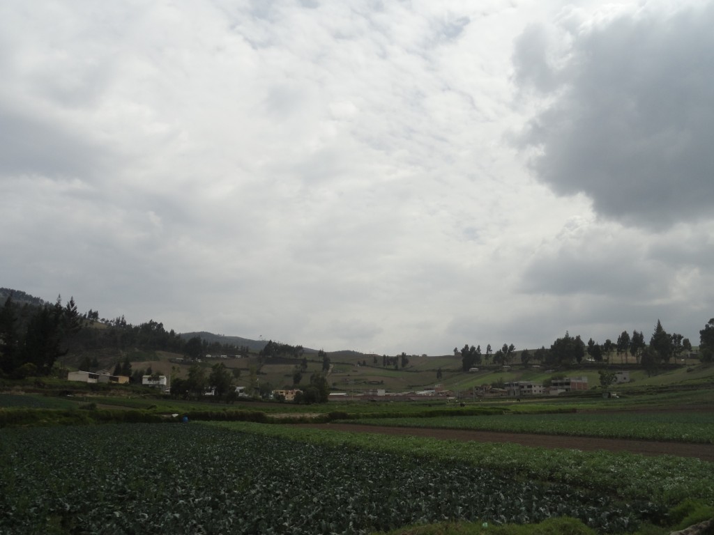 Foto: Paisaje - Colta (Chimborazo), Ecuador