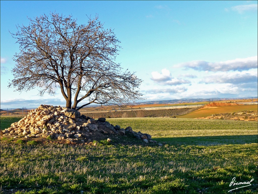 Foto: 121207-07 ALCONCHEL DE ARIZA - Alconchel De Ariza (Zaragoza), España