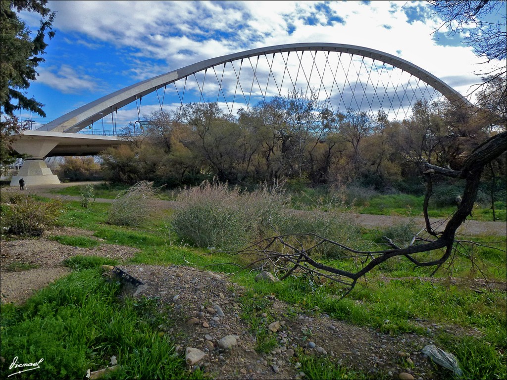 Foto: 121216-39 PUENTE 3er MILENIO - Zaragoza (Aragón), España