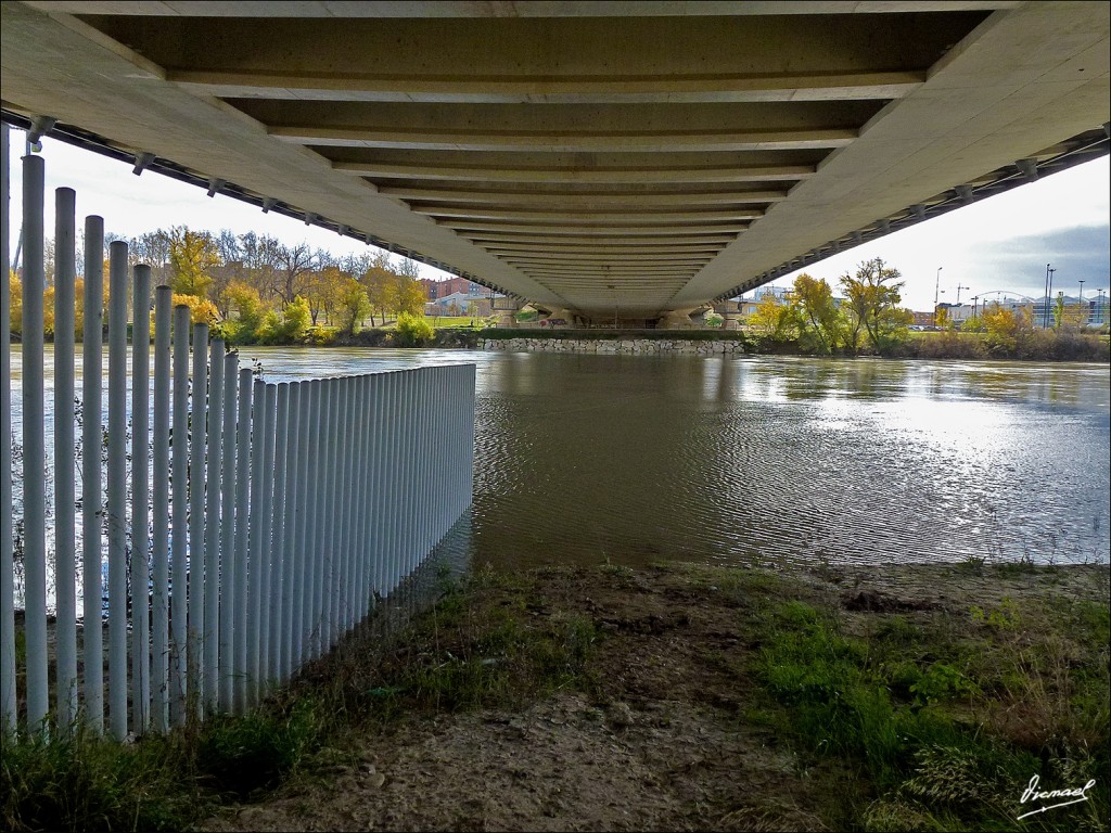 Foto: 121216-47 PUENTE 3er MILENIO - Zaragoza (Aragón), España