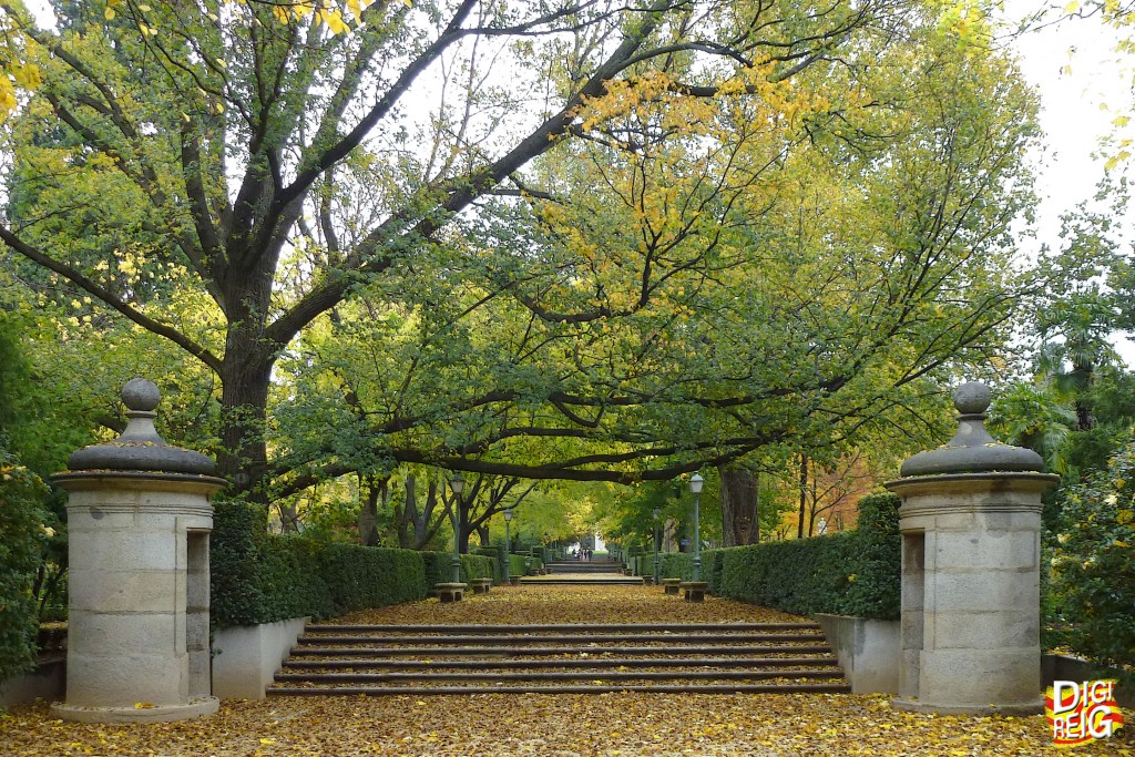 Foto: Real Jardín Botánico - Madrid (Comunidad de Madrid), España