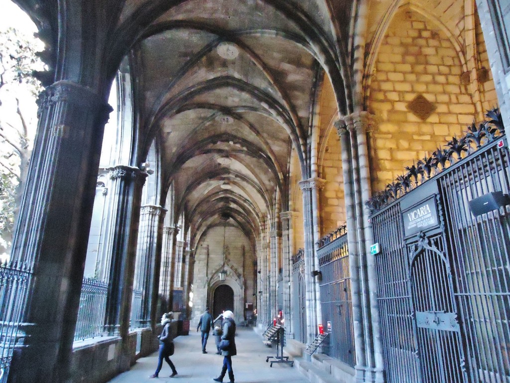 Foto: Claustro de la catedral - Barcelona (Cataluña), España