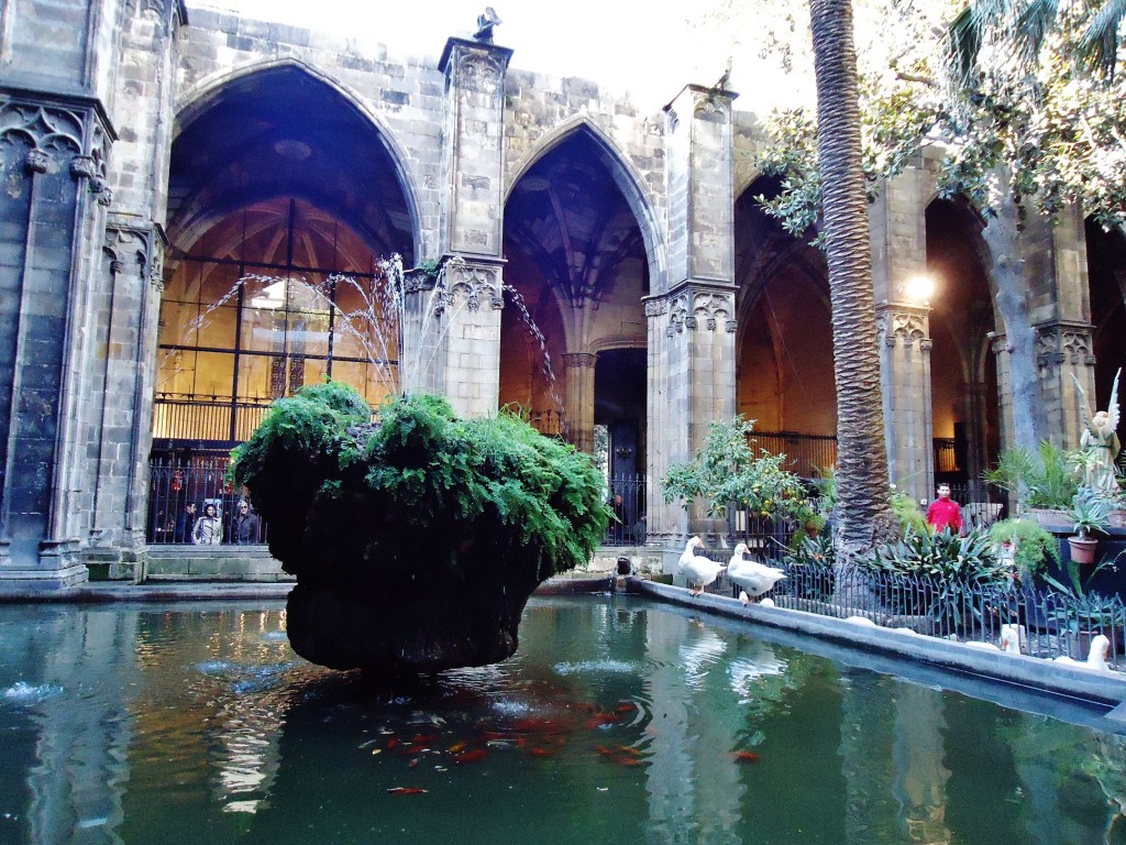 Foto: Claustro de la catedral - Barcelona (Cataluña), España