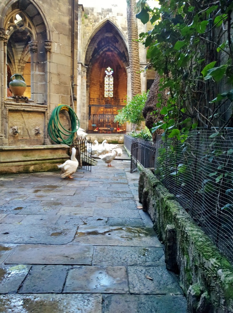 Foto: Claustro de la catedral - Barcelona (Cataluña), España