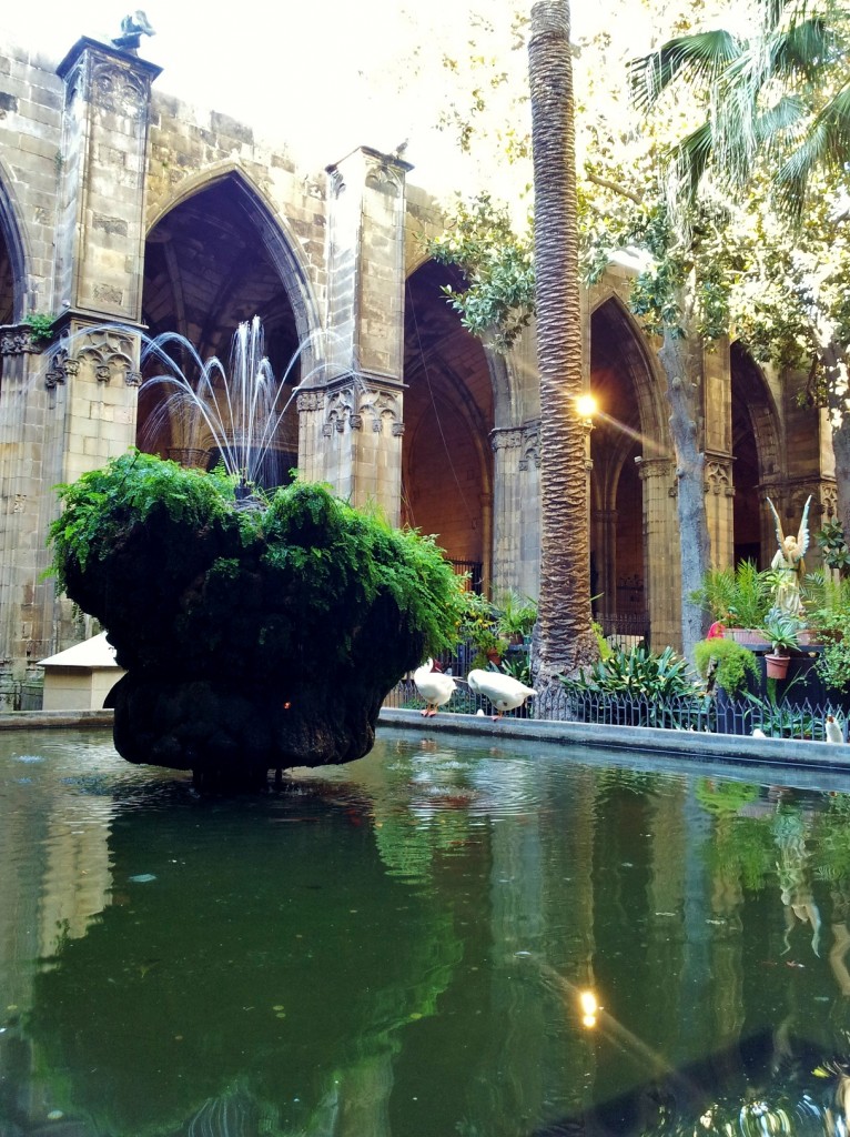 Foto: Claustro de la catedral - Barcelona (Cataluña), España