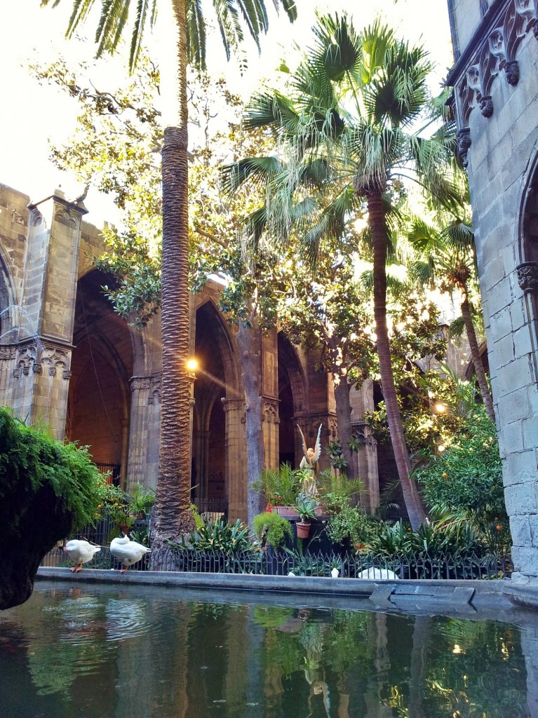 Foto: Claustro de la catedral - Barcelona (Cataluña), España