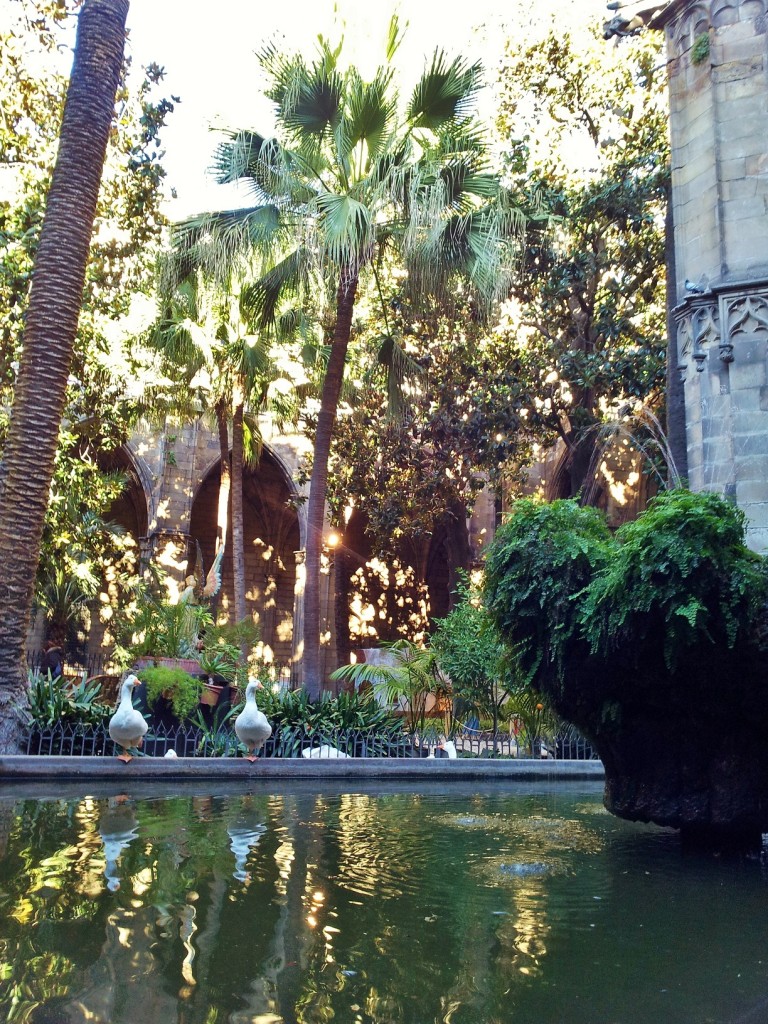 Foto: Claustro de la catedral - Barcelona (Cataluña), España