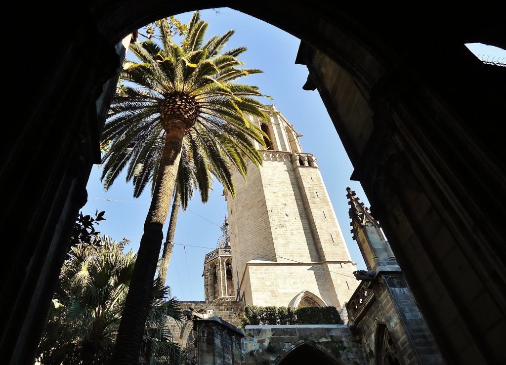 Foto: Claustro de la catedral - Barcelona (Cataluña), España