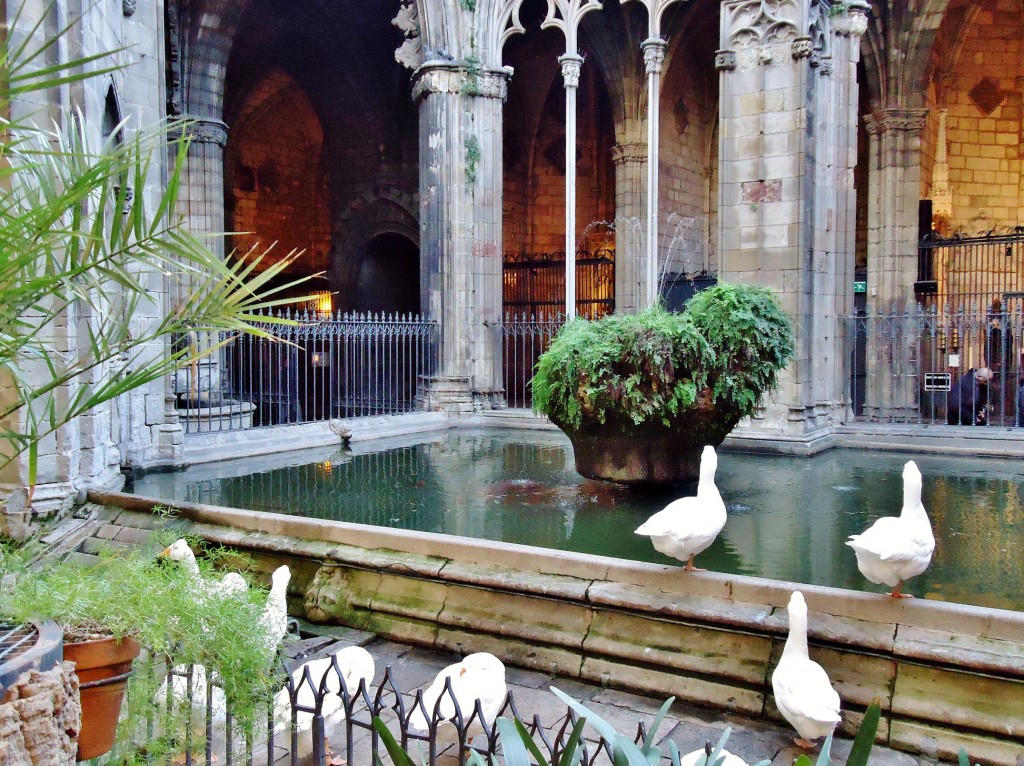 Foto: Claustro de la catedral - Barcelona (Cataluña), España