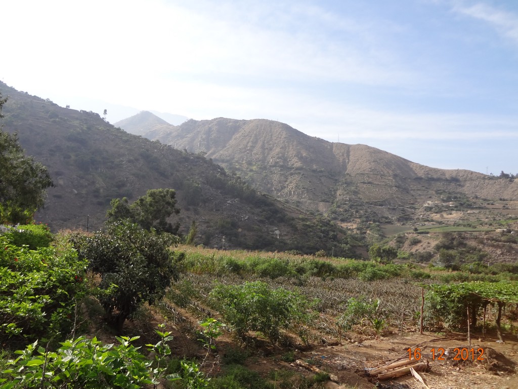 Foto de Samne (La Libertad), Perú