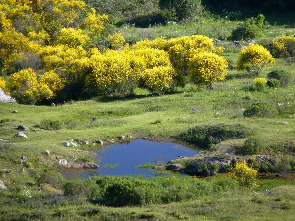 Foto: Vista desde el Cerro La Movediza - Tandil (Buenos Aires), Argentina