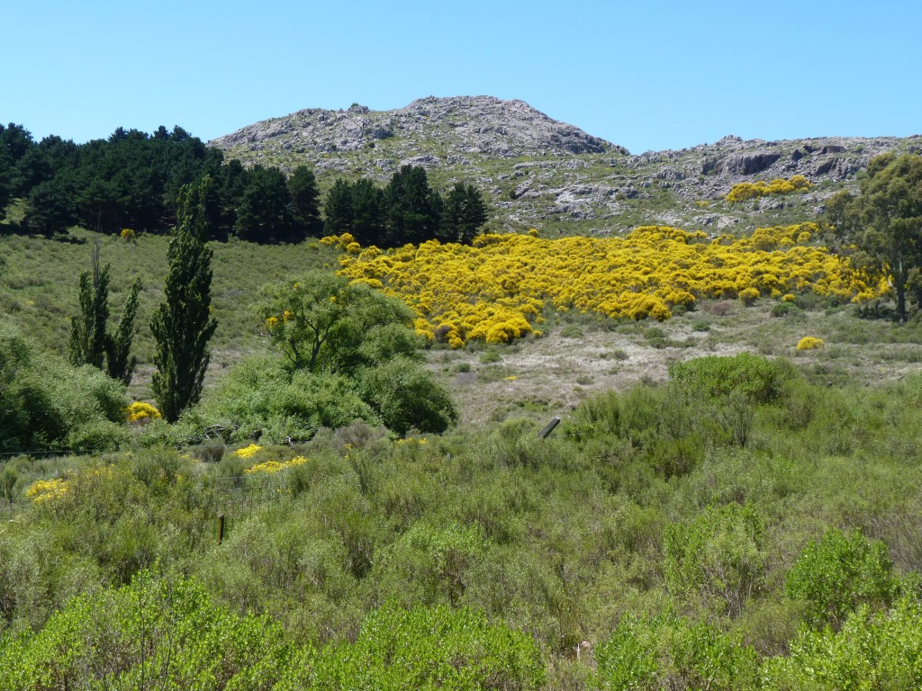 Foto: Sierra del Tigre - Tandil (Buenos Aires), Argentina