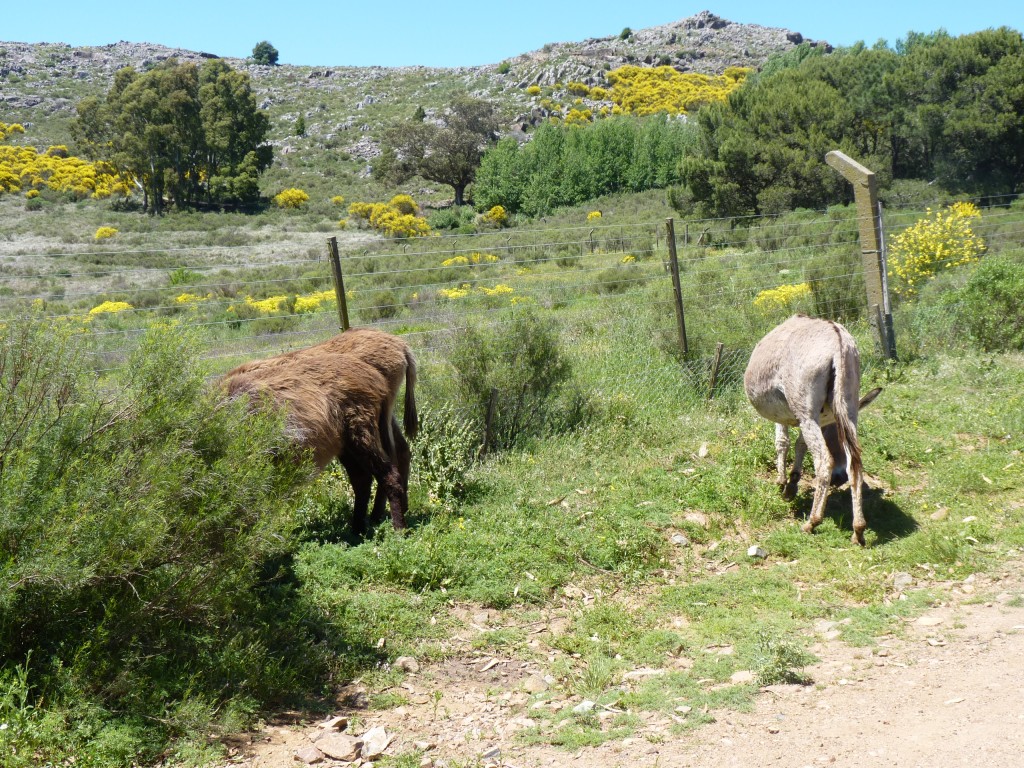 Foto: Sierra del Tigre - Tandil (Buenos Aires), Argentina