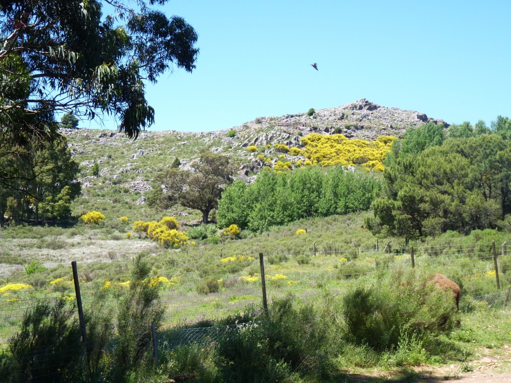 Foto: Sierra del Tigre - Tandil (Buenos Aires), Argentina