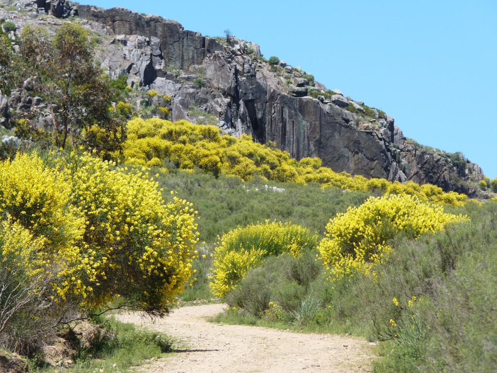 Foto: Sierra del Tigre - Tandil (Buenos Aires), Argentina