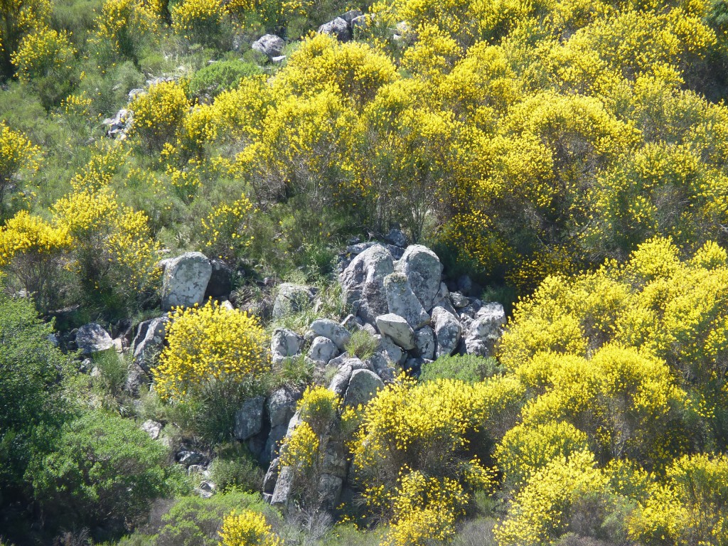 Foto: Sierra del Tigre - Tandil (Buenos Aires), Argentina