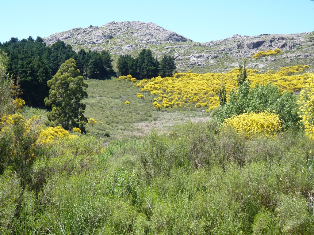 Foto: Sierra del Tigre - Tandil (Buenos Aires), Argentina