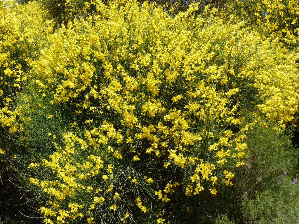 Foto: Sierra del Tigre - Tandil (Buenos Aires), Argentina