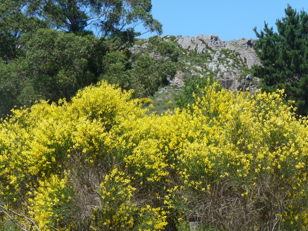 Foto: Sierra del Tigre - Tandil (Buenos Aires), Argentina