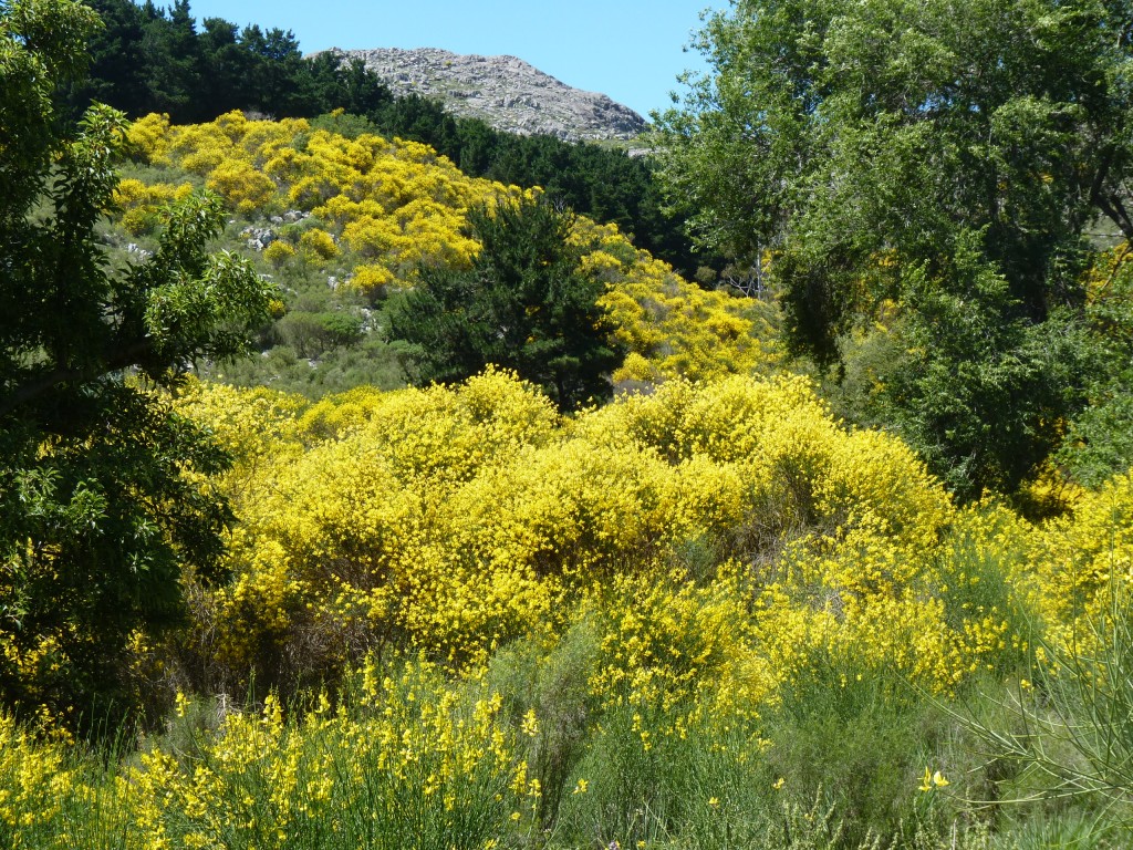 Foto: Sierra del Tigre - Tandil (Buenos Aires), Argentina