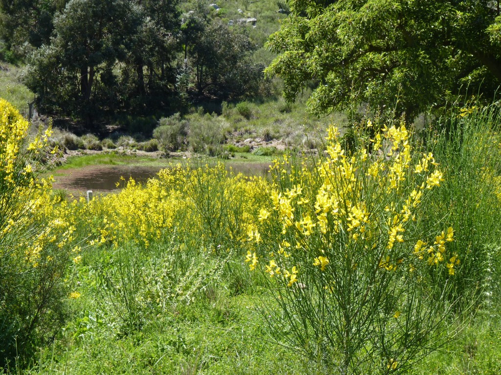 Foto: Sierra del Tigre - Tandil (Buenos Aires), Argentina