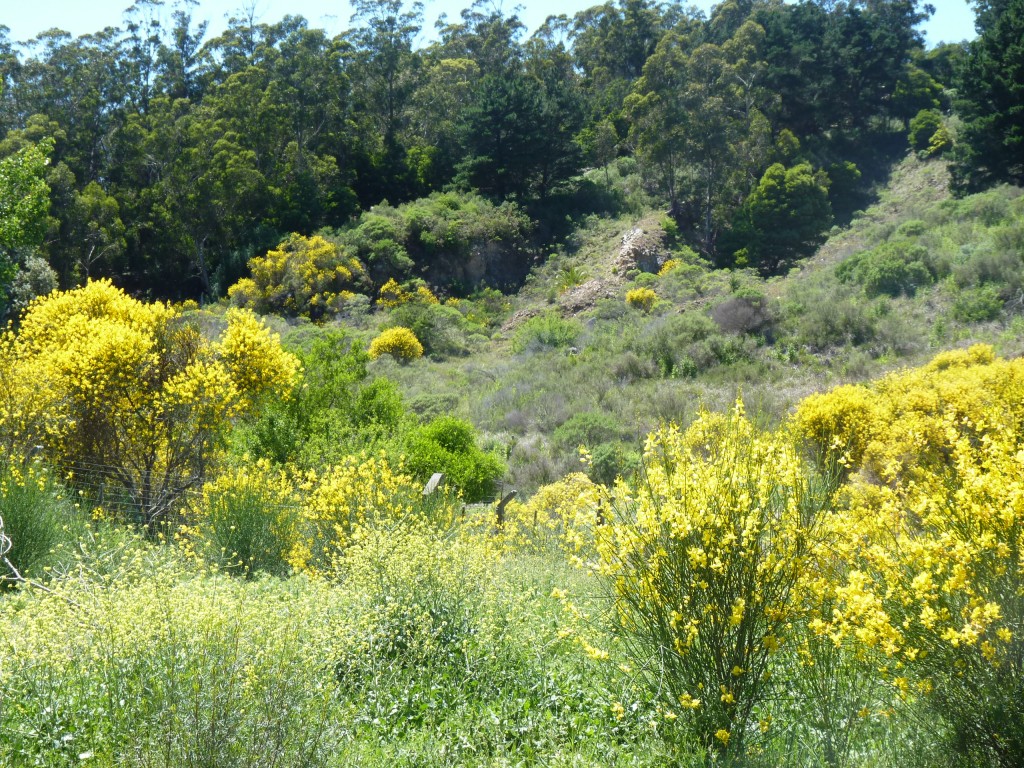 Foto: Sierra del Tigre - Tandil (Buenos Aires), Argentina