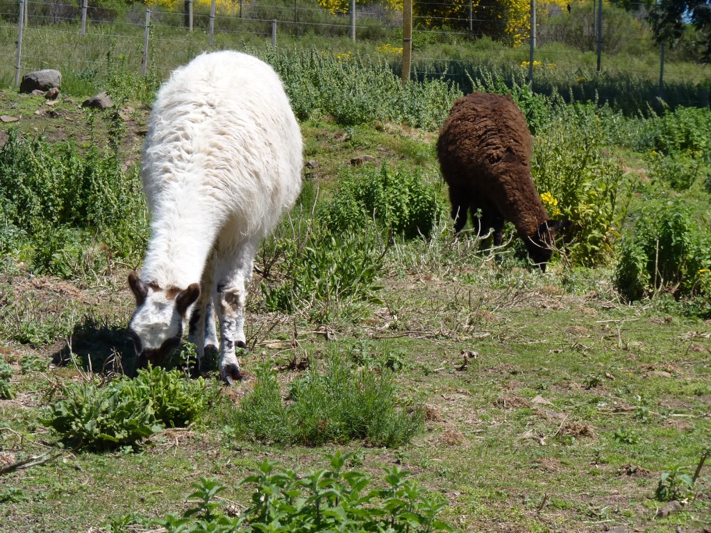 Foto: Sierra del Tigre - Tandil (Buenos Aires), Argentina