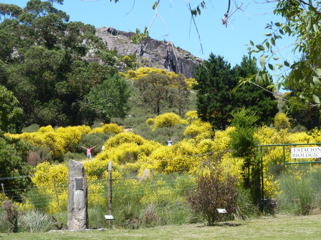 Foto: Sierra del Tigre - Tandil (Buenos Aires), Argentina