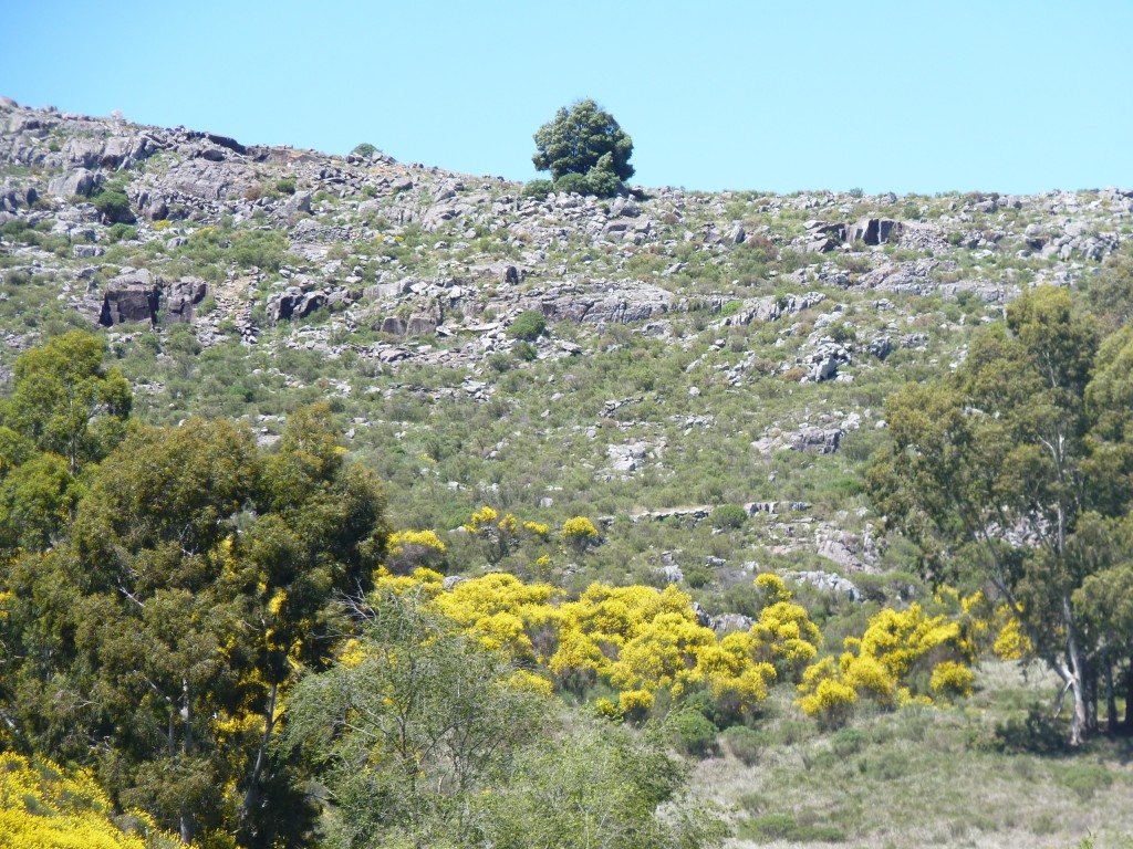 Foto: Sierra del Tigre - Tandil (Buenos Aires), Argentina