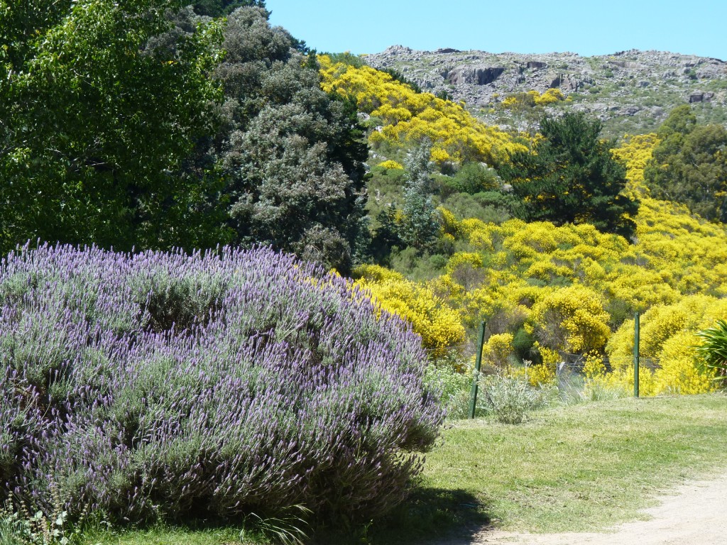 Foto: Sierra del Tigre - Tandil (Buenos Aires), Argentina