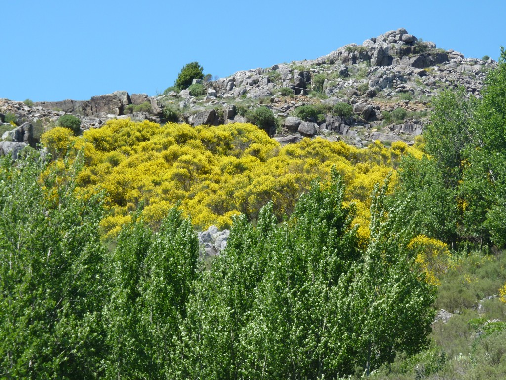 Foto: Sierra del Tigre - Tandil (Buenos Aires), Argentina