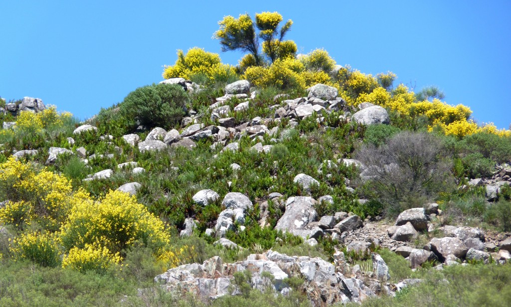 Foto: Sierra del Tigre - Tandil (Buenos Aires), Argentina