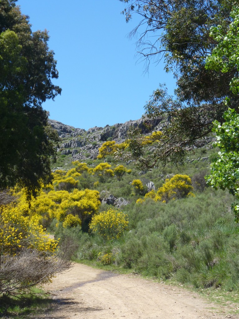 Foto: Sierra del Tigre - Tandil (Buenos Aires), Argentina