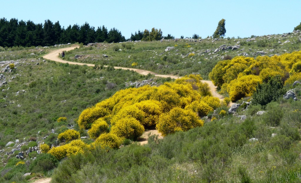 Foto: Sierra del Tigre - Tandil (Buenos Aires), Argentina