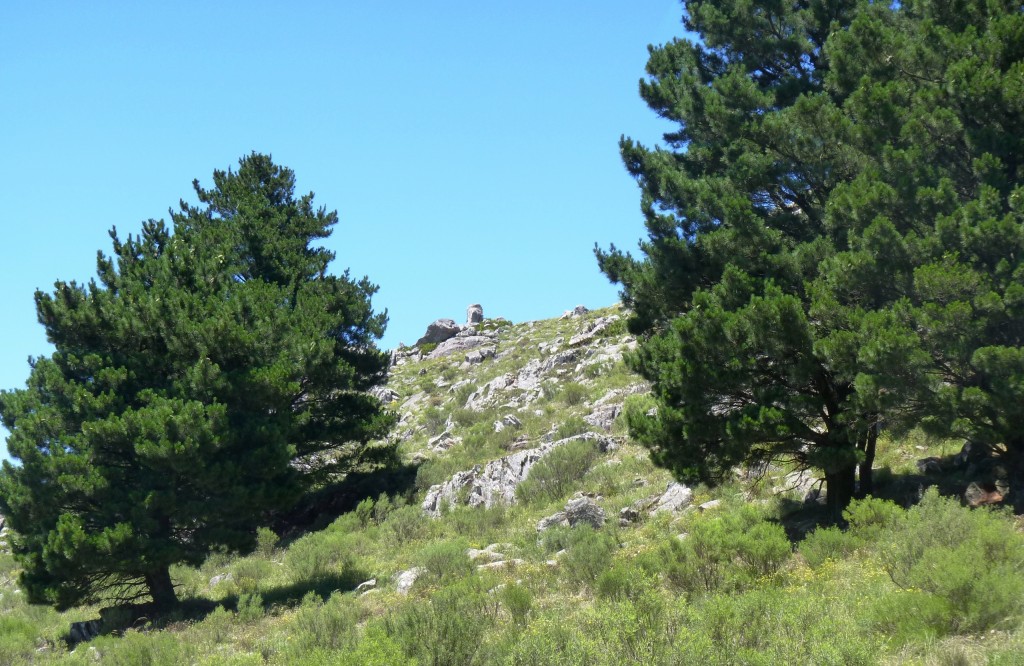 Foto: Sierra del Tigre - Tandil (Buenos Aires), Argentina