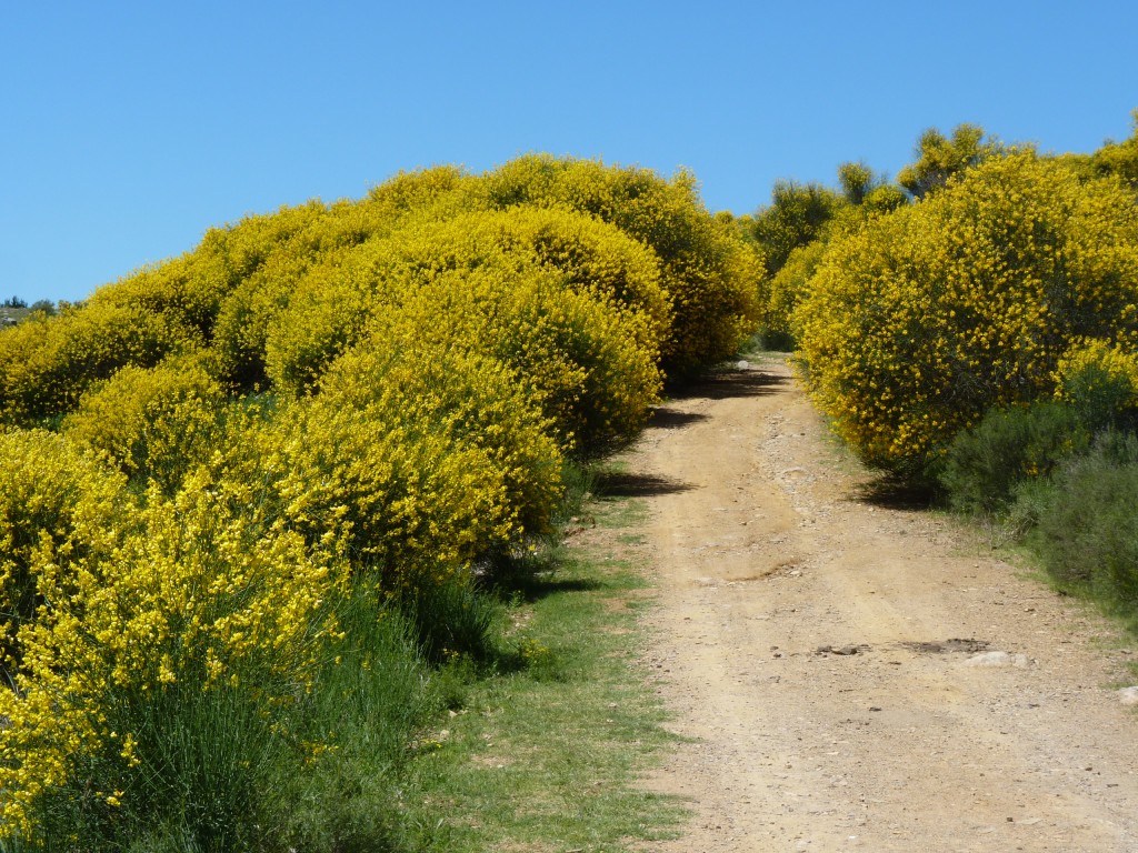 Foto: Sierra del Tigre - Tandil (Buenos Aires), Argentina