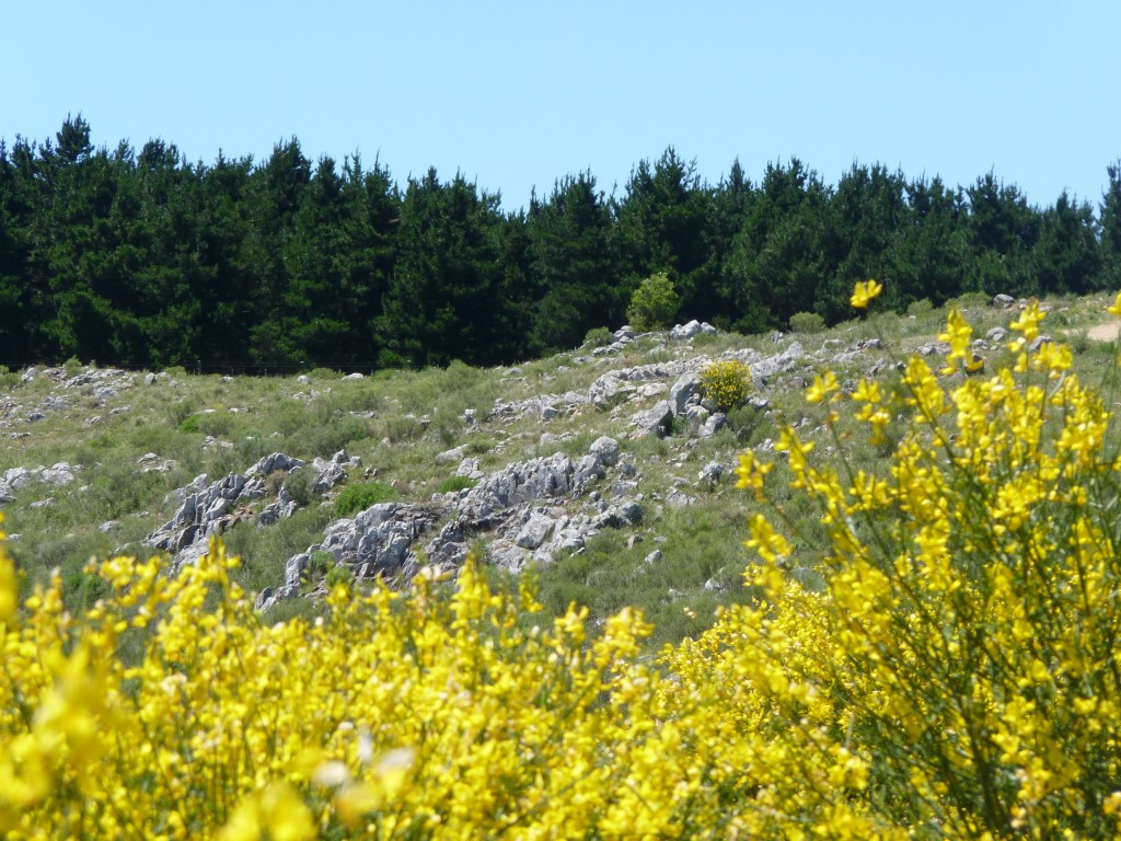 Foto: Sierra del Tigre - Tandil (Buenos Aires), Argentina