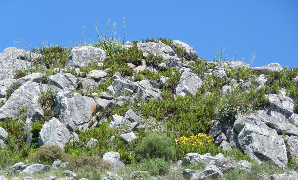 Foto: Sierra del Tigre - Tandil (Buenos Aires), Argentina