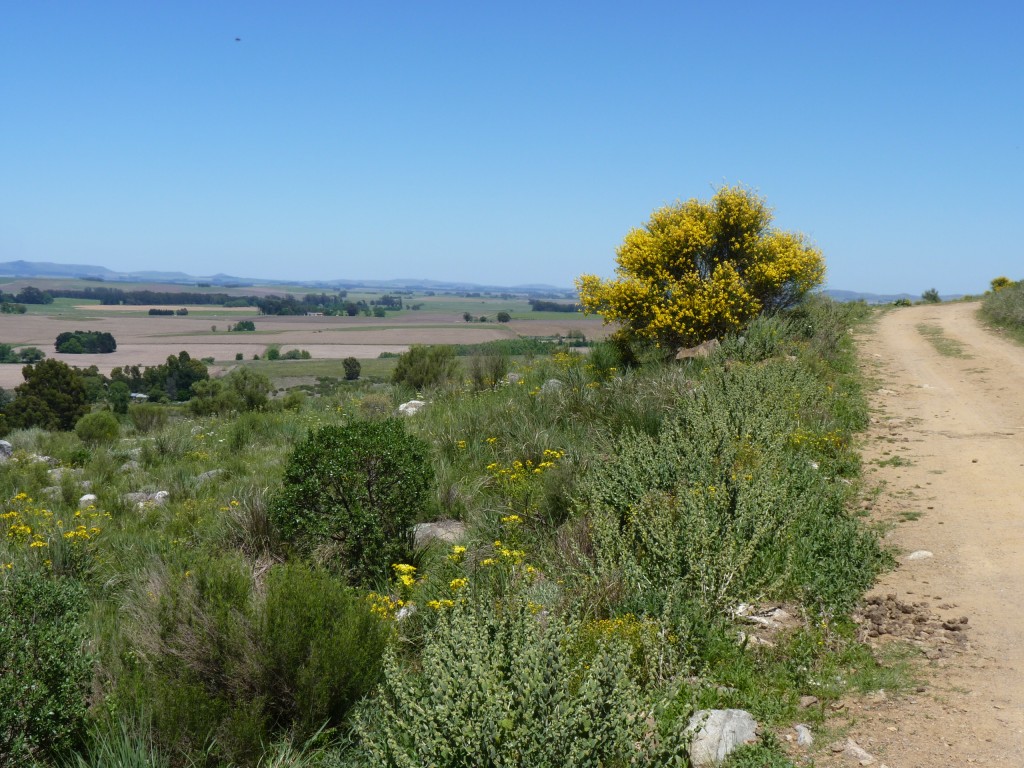 Foto: Sierra del Tigre - Tandil (Buenos Aires), Argentina