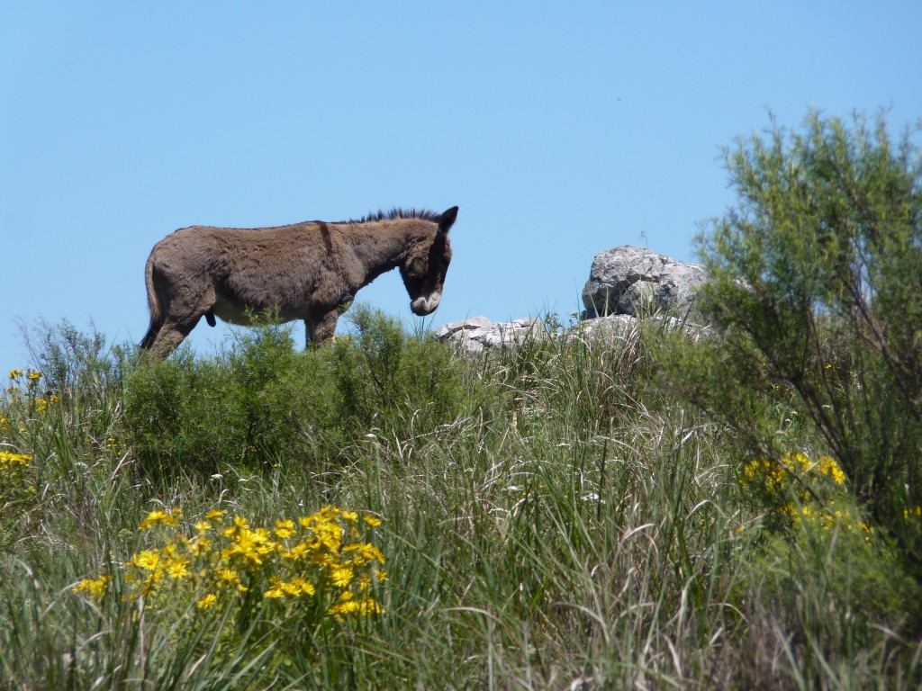 Foto: Sierra del Tigre - Tandil (Buenos Aires), Argentina