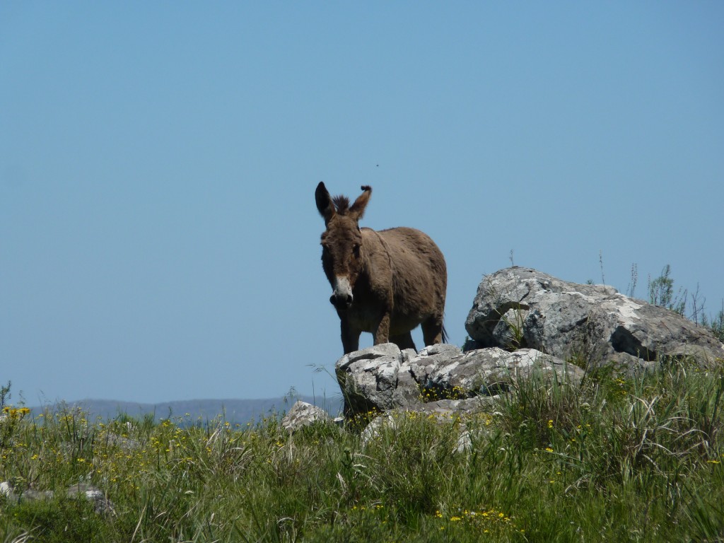 Foto: Sierra del Tigre - Tandil (Buenos Aires), Argentina