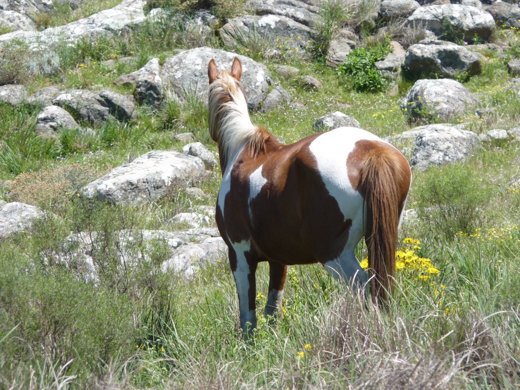 Foto: Sierra del Tigre - Tandil (Buenos Aires), Argentina