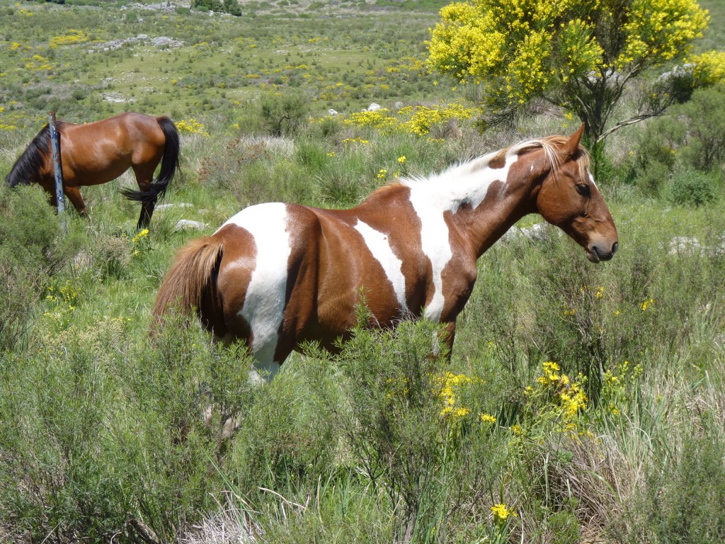 Foto: Sierra del Tigre - Tandil (Buenos Aires), Argentina